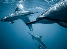 赛事体育：点亮城市的赛场经济与情感共振